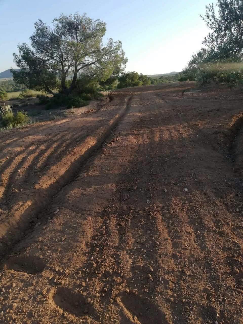 أرض محروثة توّا بتراب أحمر وآثار الجرّار